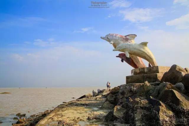 拉力赛大师赛，粤西海豚队与辽东铁骑队强势横扫，VAR改判成焦点！豪门底蕴再次显现的简单介绍